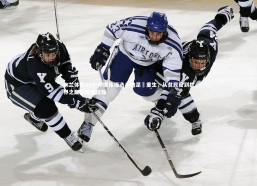 米兰体育APP-印度体操选手的涅槃重生，从贫民窟到世界之巅的辉煌征程